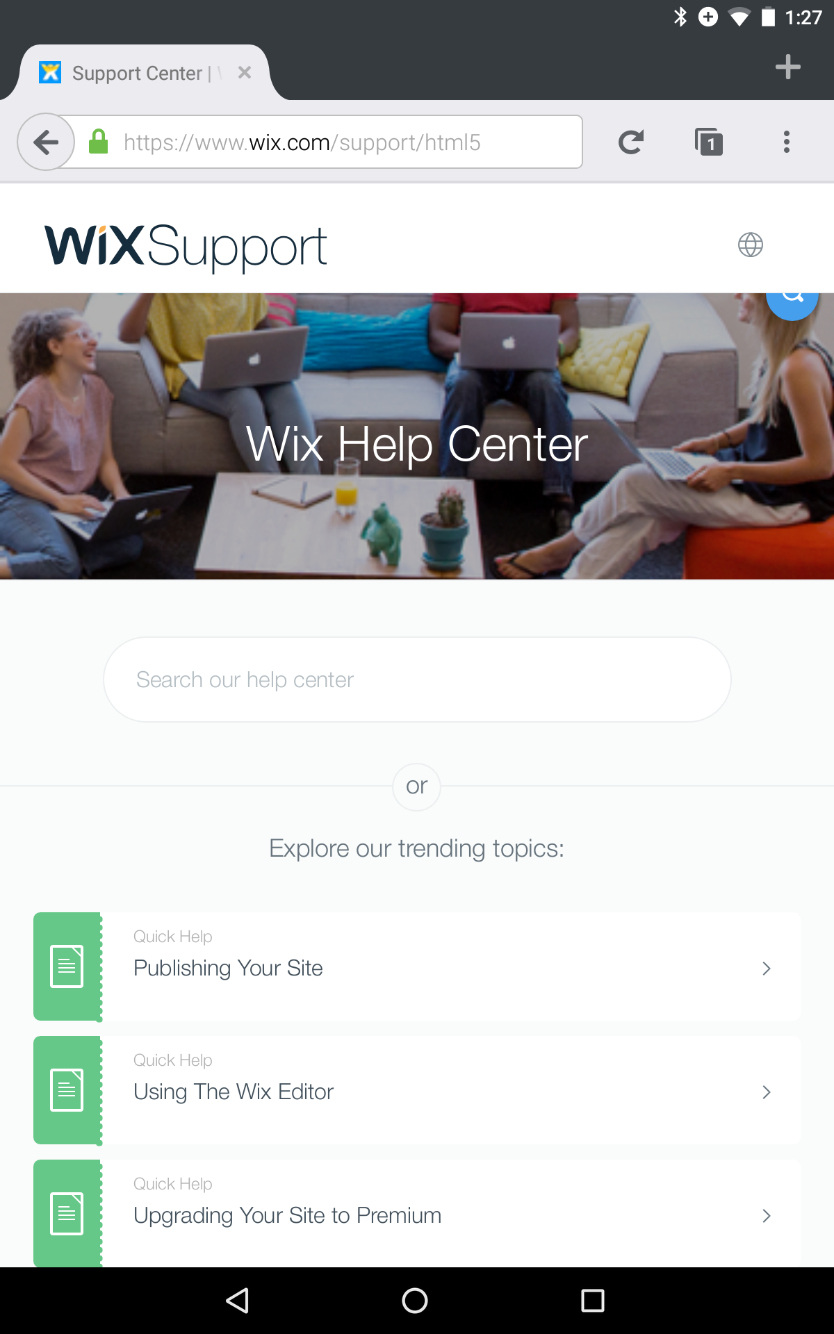 Screenshot of the site issue