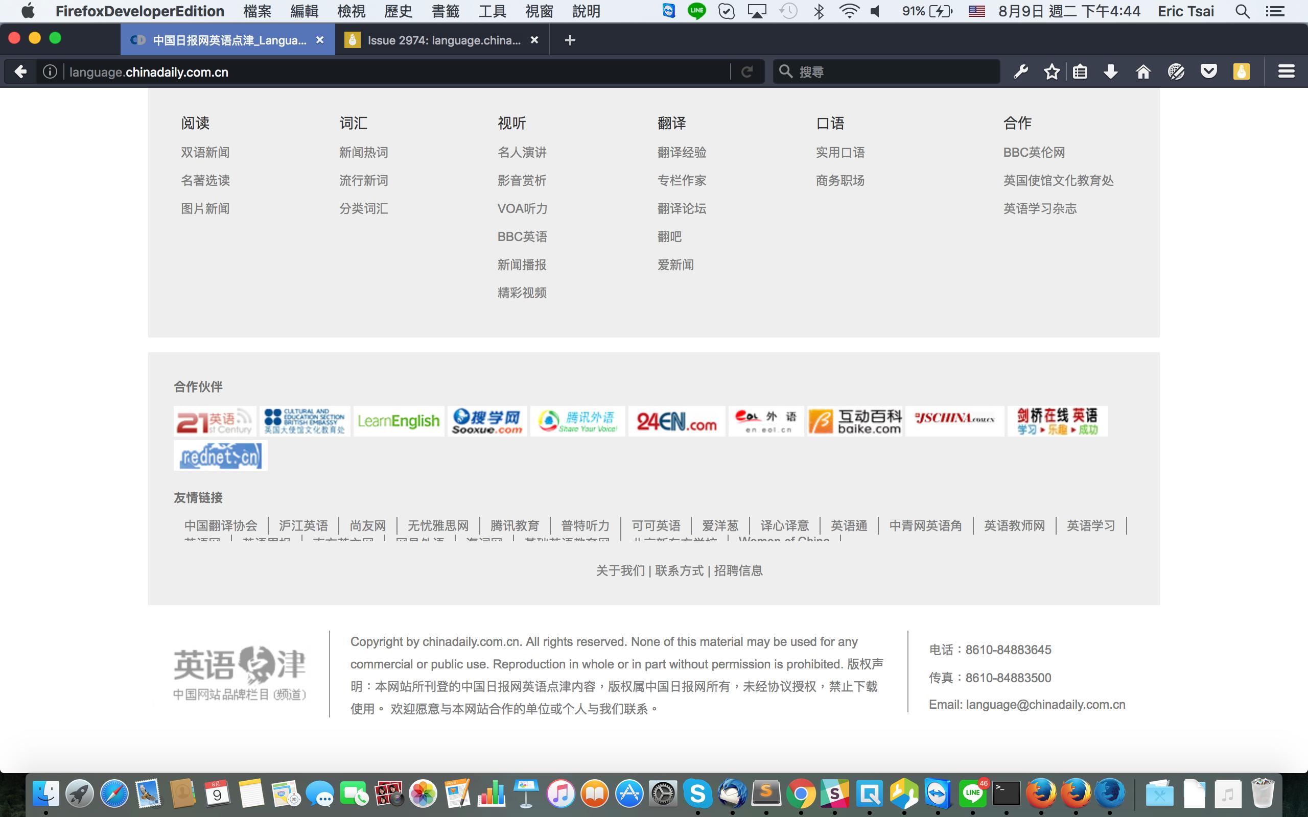 Screenshot of the site issue