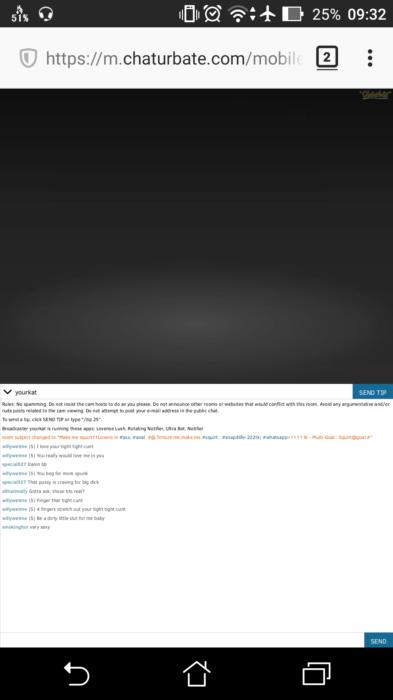 Screenshot Description