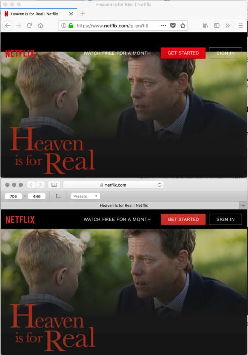 Screenshot Description